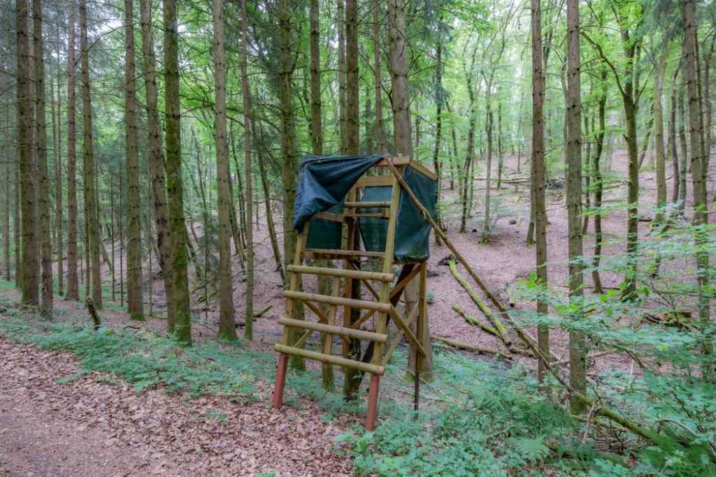 DIY Hunting Blinds: Building Your Custom Hideout