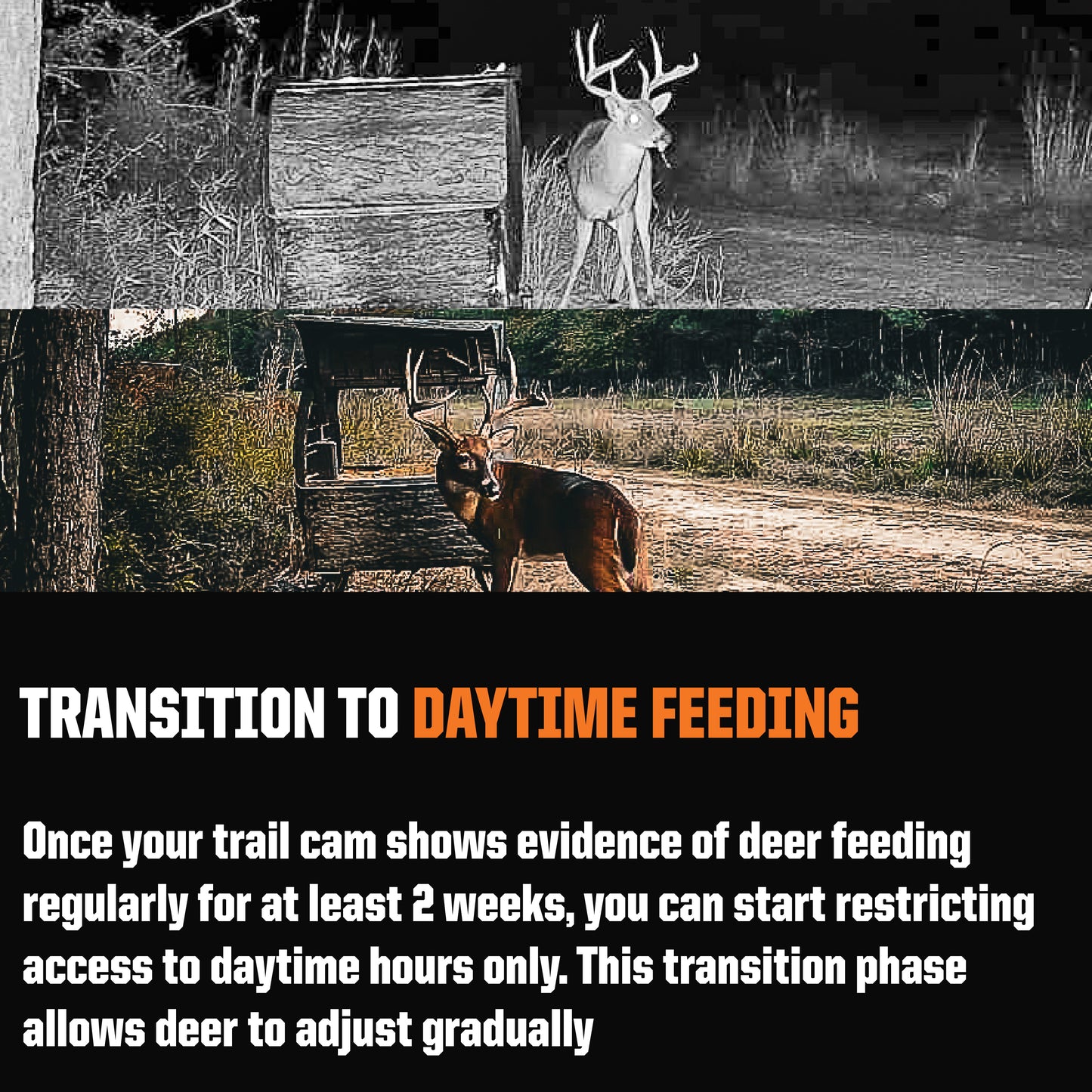 The Kitchen Sink Daytime Deadfall Feeder Bundle