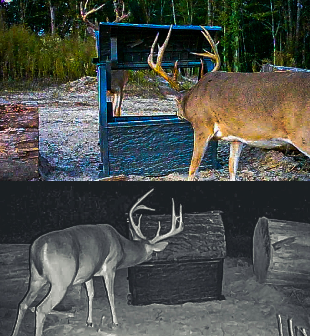 The Kitchen Sink Daytime Deadfall Feeder Bundle