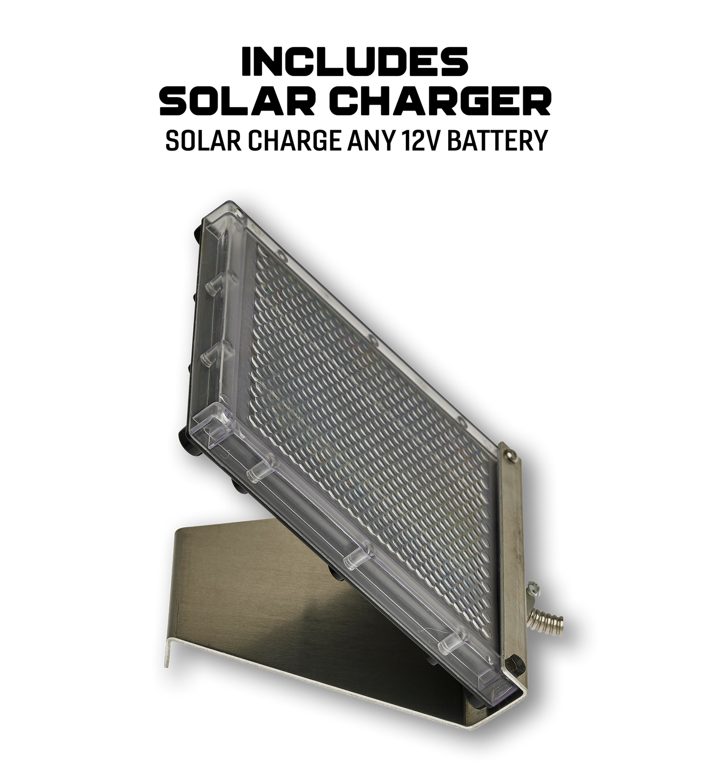 The Kitchen Sink Daytime Deadfall Feeder Bundle