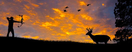 Silhouette of a bow hunter aiming at a White tail buck against an evening sunset.