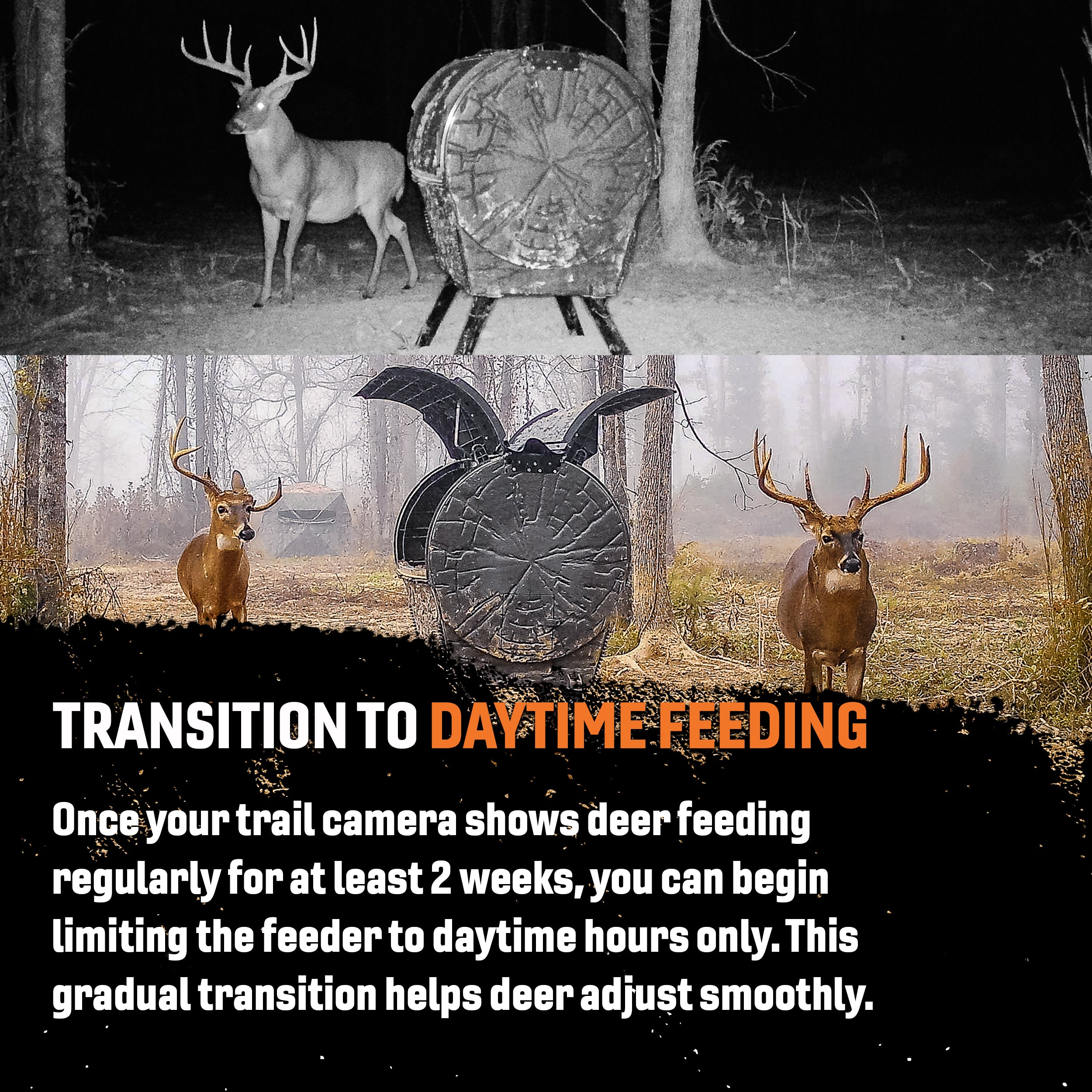 Daytime Deadfall Feeder | Timed Deer Feeder | Tectonic USA