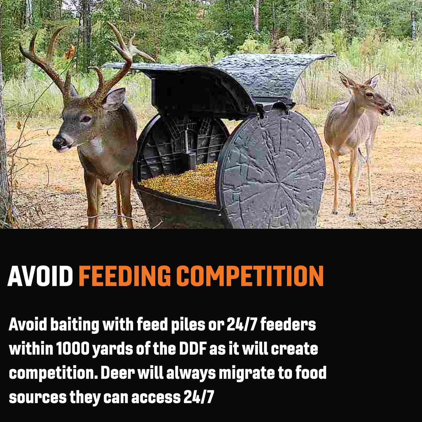 Daytime Deer Feeder – OUTFITTER BUNDLE