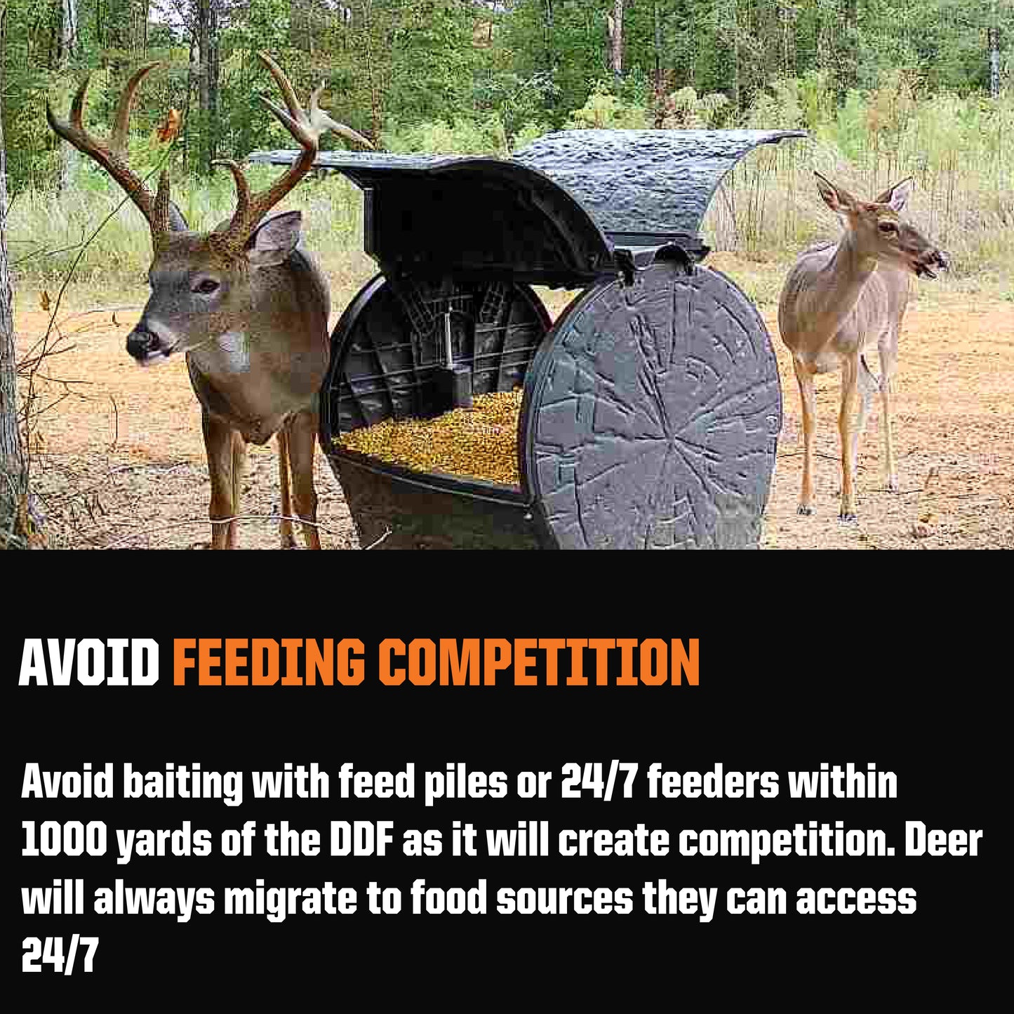 Daytime Deer Feeder – OUTFITTER BUNDLE